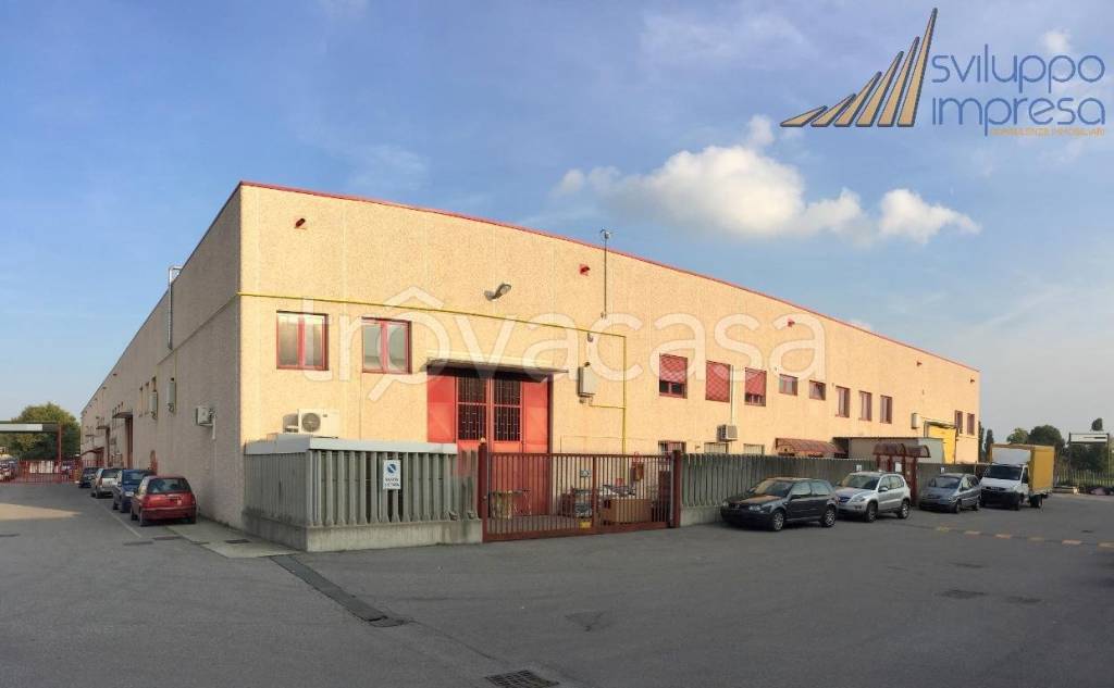 immagine annuncio 5 di 12