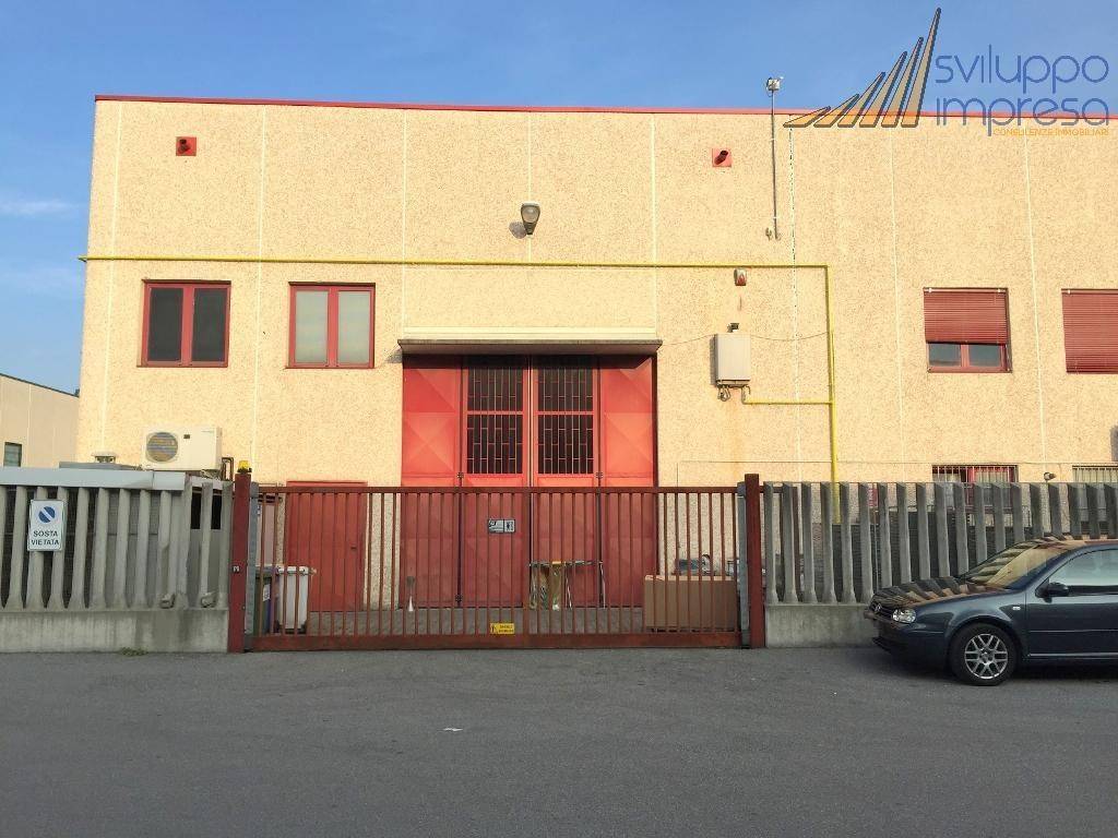 immagine annuncio 6 di 12