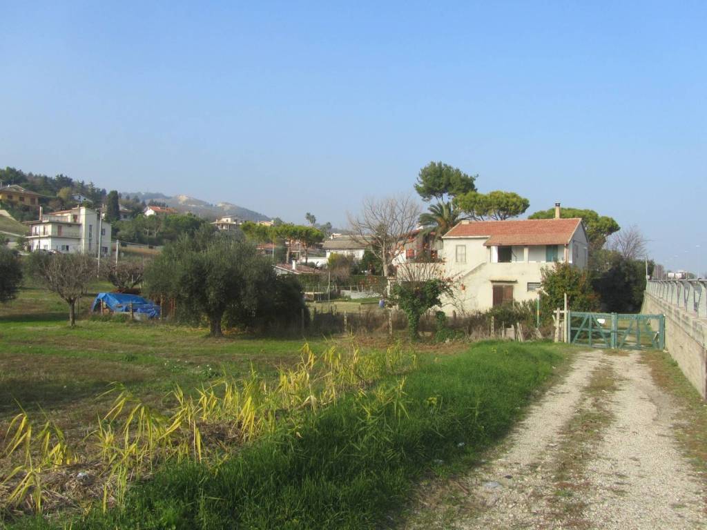 immagine annuncio 6 di 14
