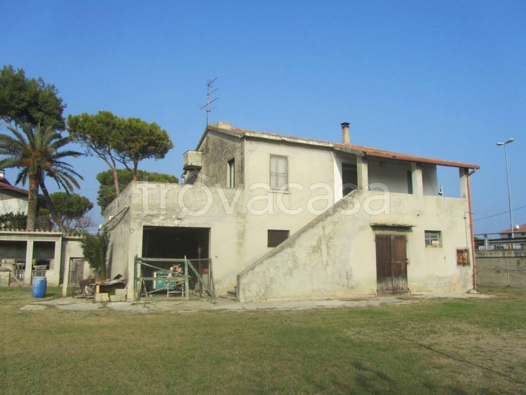 immagine annuncio 8 di 14