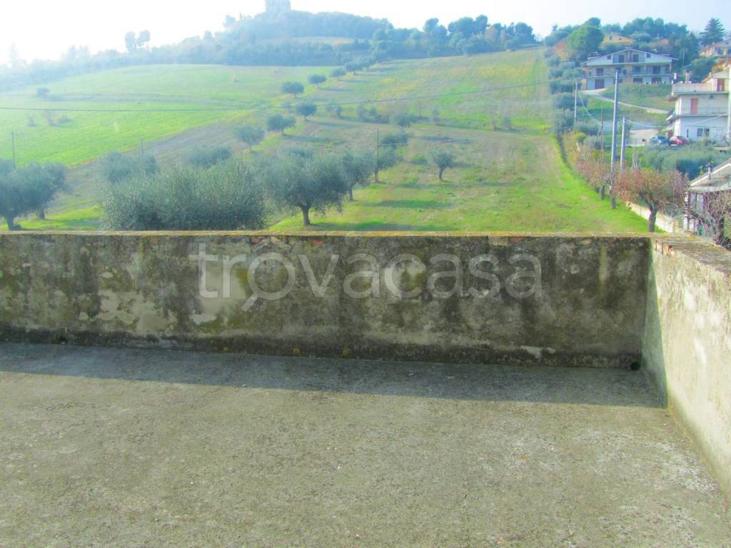 immagine annuncio 11 di 14