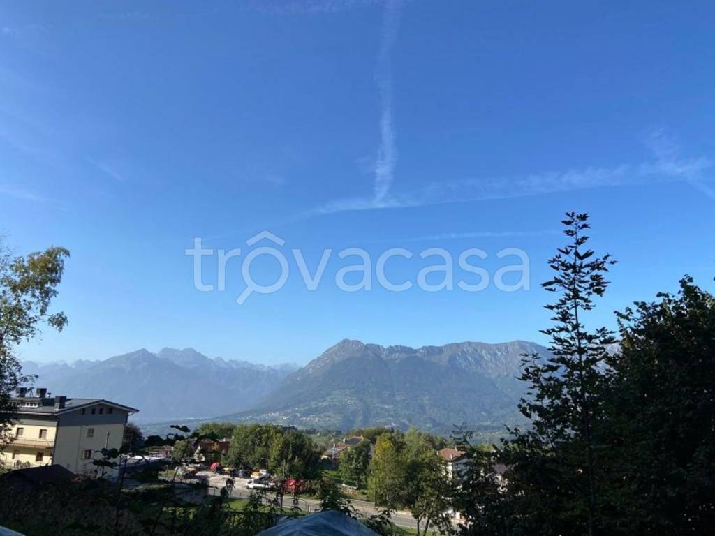immagine annuncio 6 di 7