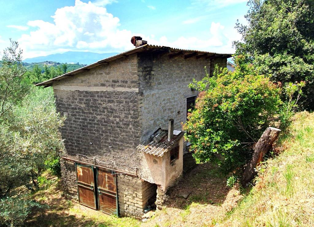 immagine annuncio 10 di 11
