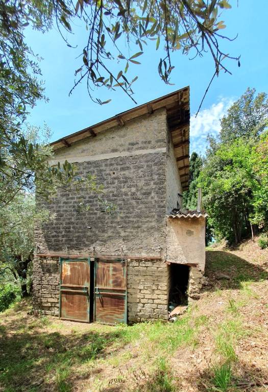 immagine annuncio 9 di 11