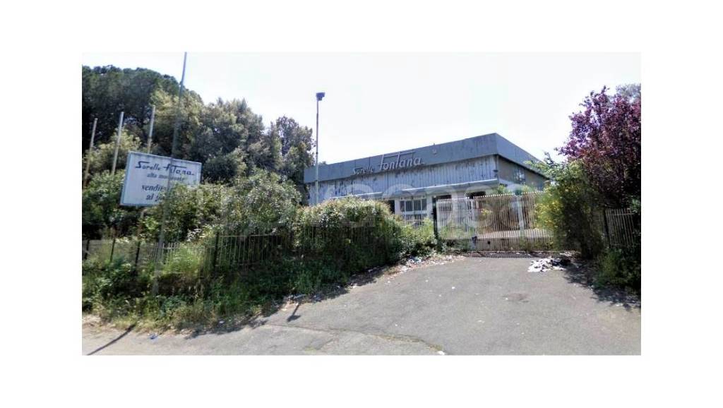 immagine annuncio 2 di 8