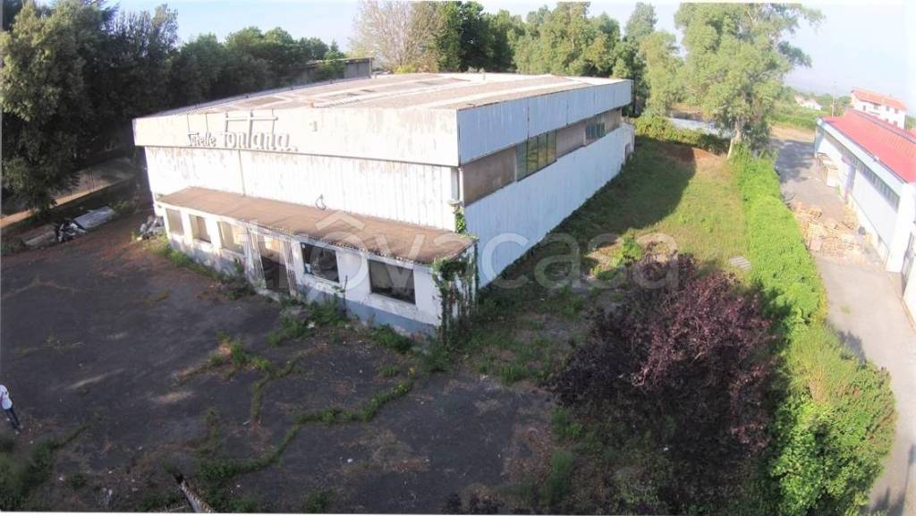 immagine annuncio 4 di 8