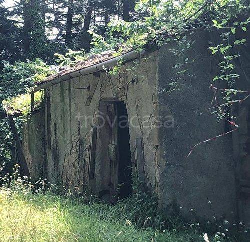 immagine annuncio 1 di 7