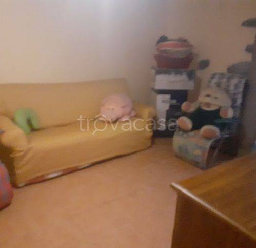 immagine annuncio 7 di 14