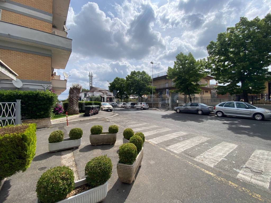 immagine annuncio 2 di 14
