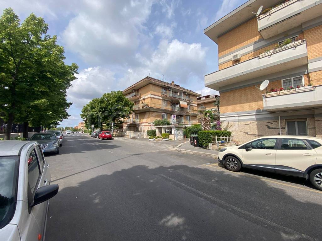 immagine annuncio 1 di 14