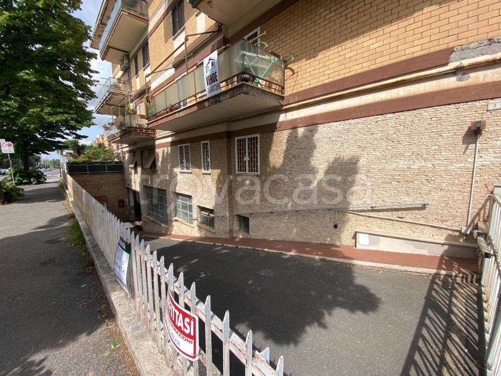 immagine annuncio 4 di 14