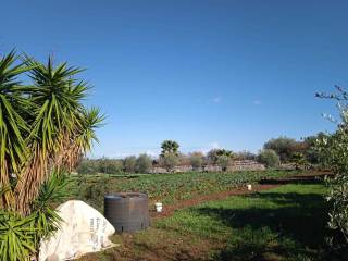 Terreno residenziale in vendita a polignano a mare contrada monte la vecchia