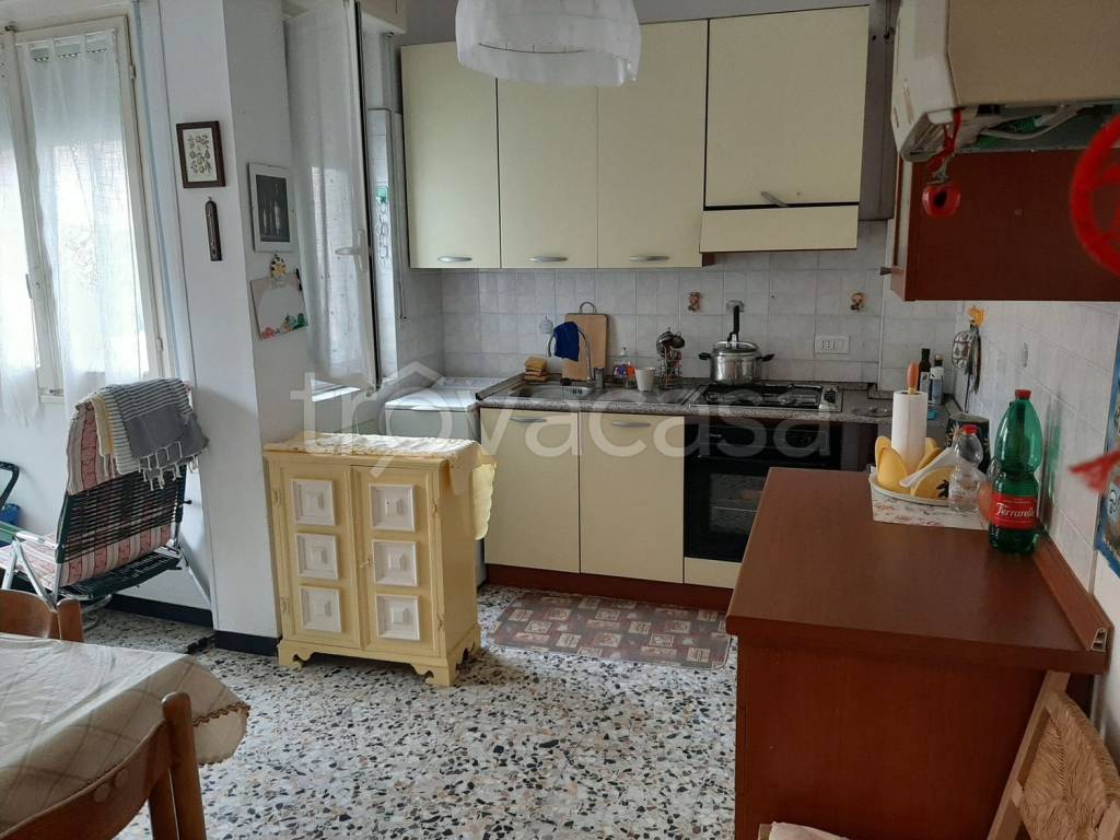 immagine annuncio 7 di 14