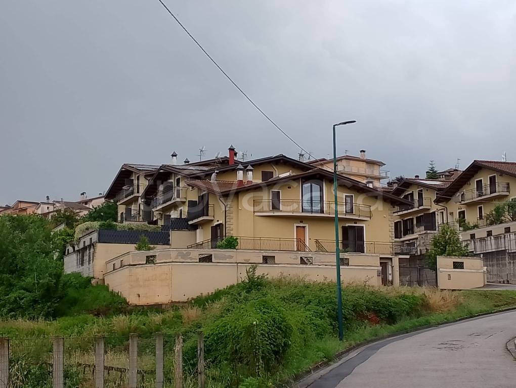 immagine annuncio 4 di 12