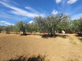 Terreno agricolo in vendita a civitella in val di chiana via della costa al vado, 19