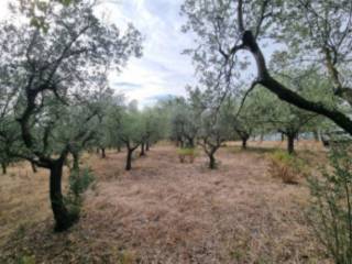 Terreno agricolo in vendita a montemurlo via baronese