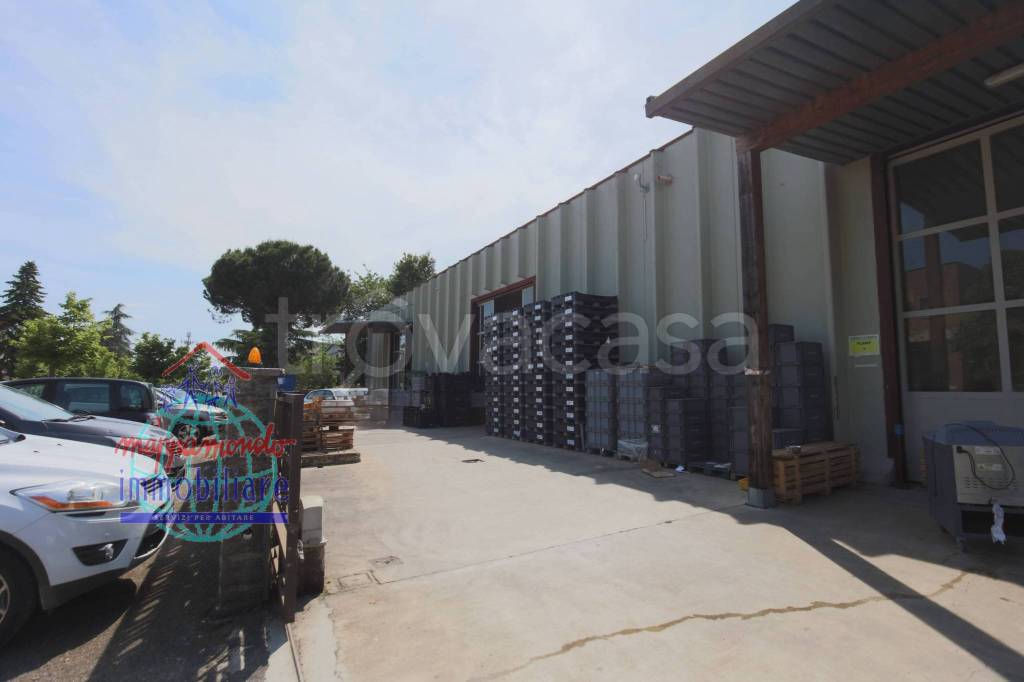 immagine annuncio 4 di 8