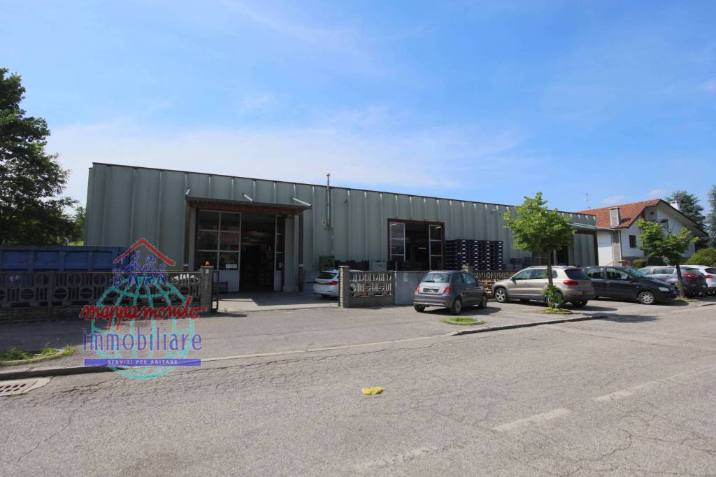 immagine annuncio 5 di 8