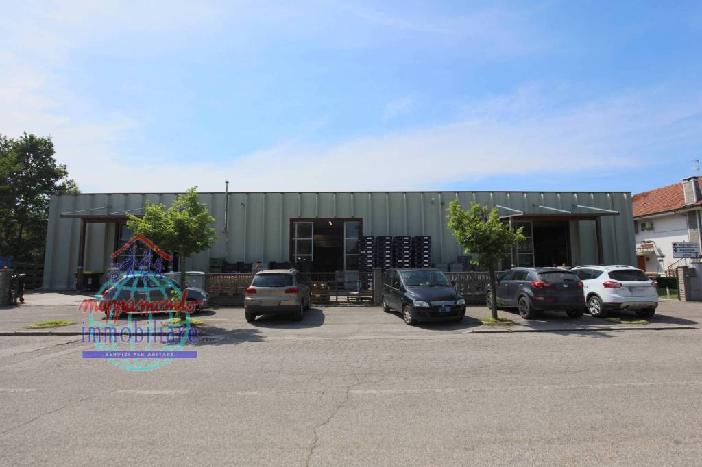 immagine annuncio 6 di 8