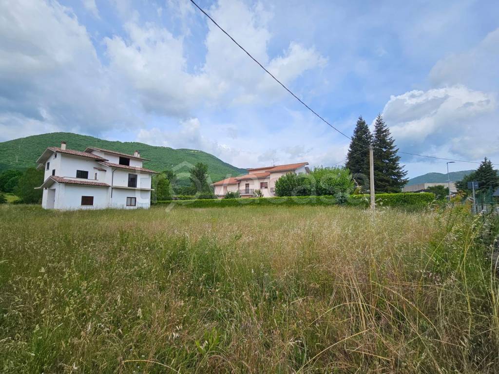 immagine annuncio 2 di 4