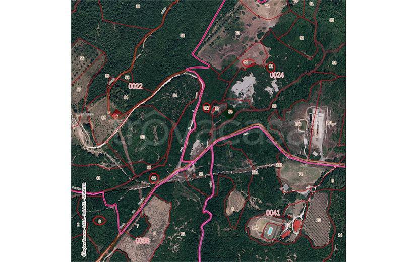 immagine annuncio 1 di 2