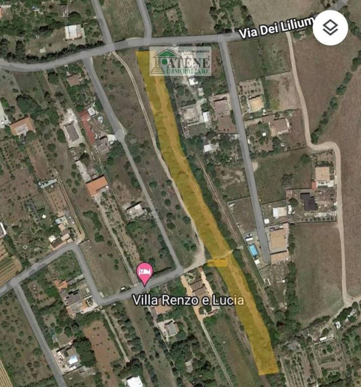 immagine annuncio 1 di 2