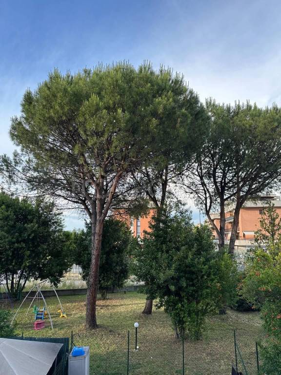 immagine annuncio 11 di 12