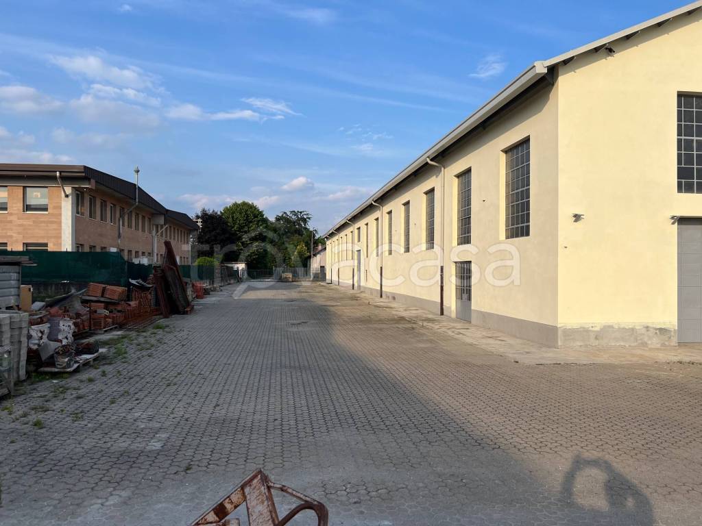immagine annuncio 12 di 15
