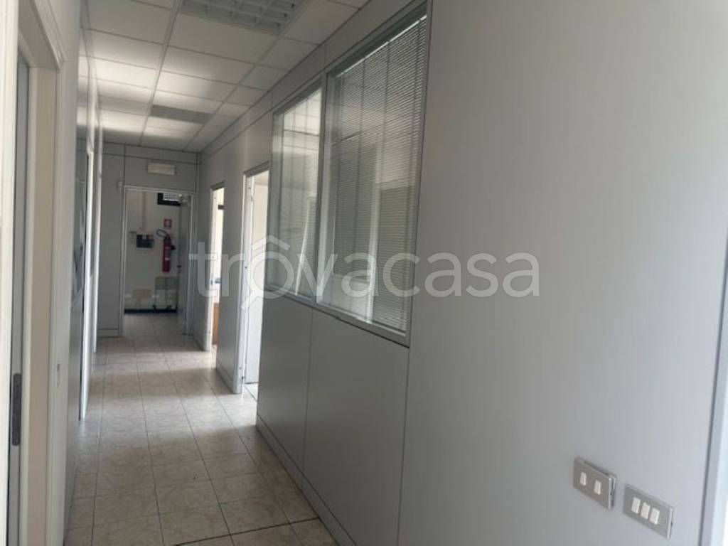 immagine annuncio 4 di 7