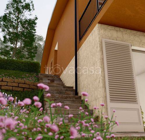 immagine annuncio 11 di 14