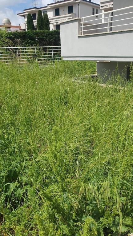 casa indipendente in vendita ad Empoli in zona Cortenuova
