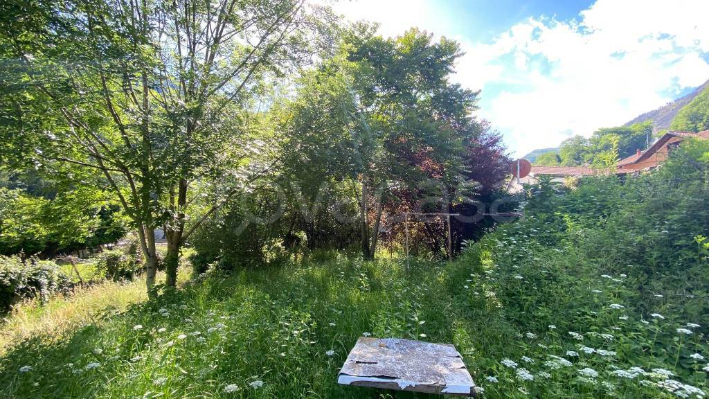 immagine annuncio 5 di 7