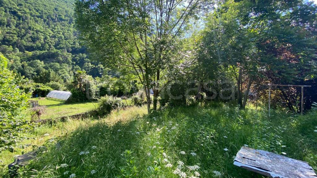 immagine annuncio 4 di 7