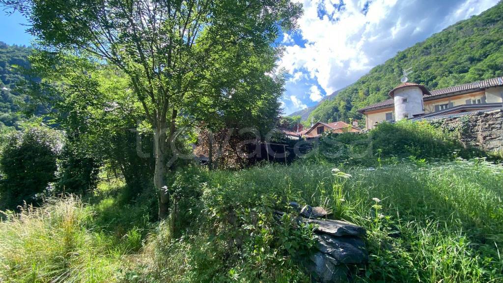 immagine annuncio 3 di 7