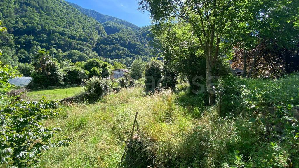 immagine annuncio 2 di 7