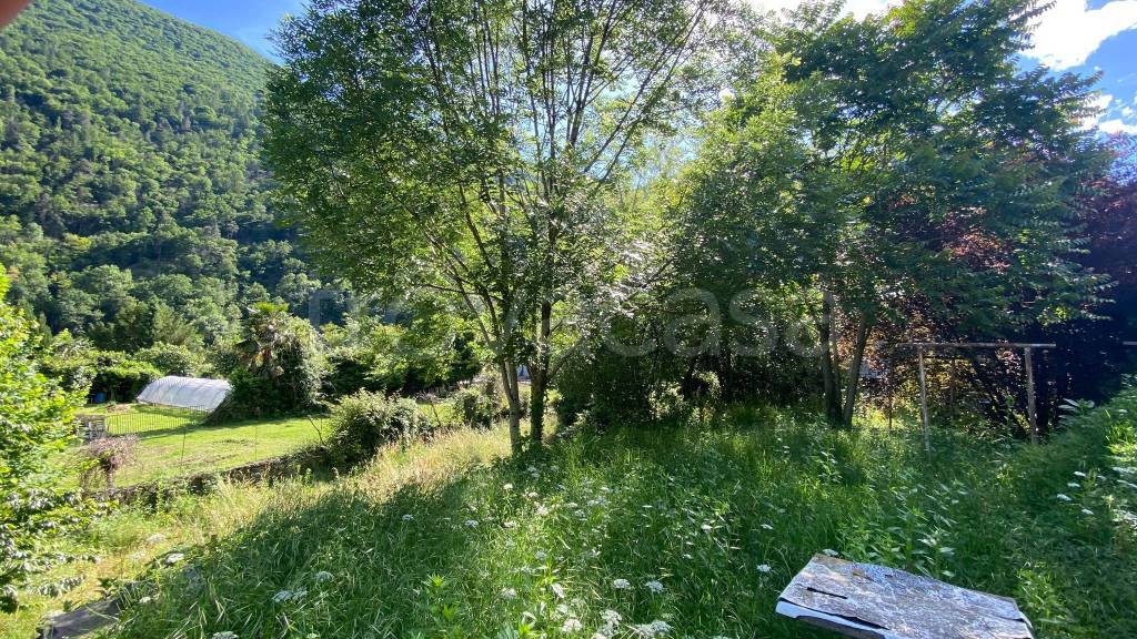 immagine annuncio 1 di 7