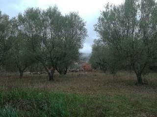 Terreno residenziale in vendita a villa san giovanni in tuscia via pasubio 12