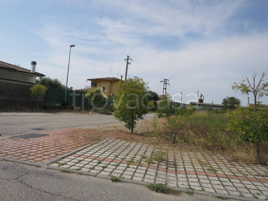immagine annuncio 6 di 11