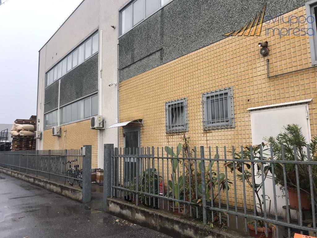 immagine annuncio 6 di 15