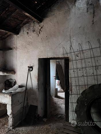 immagine annuncio 12 di 15