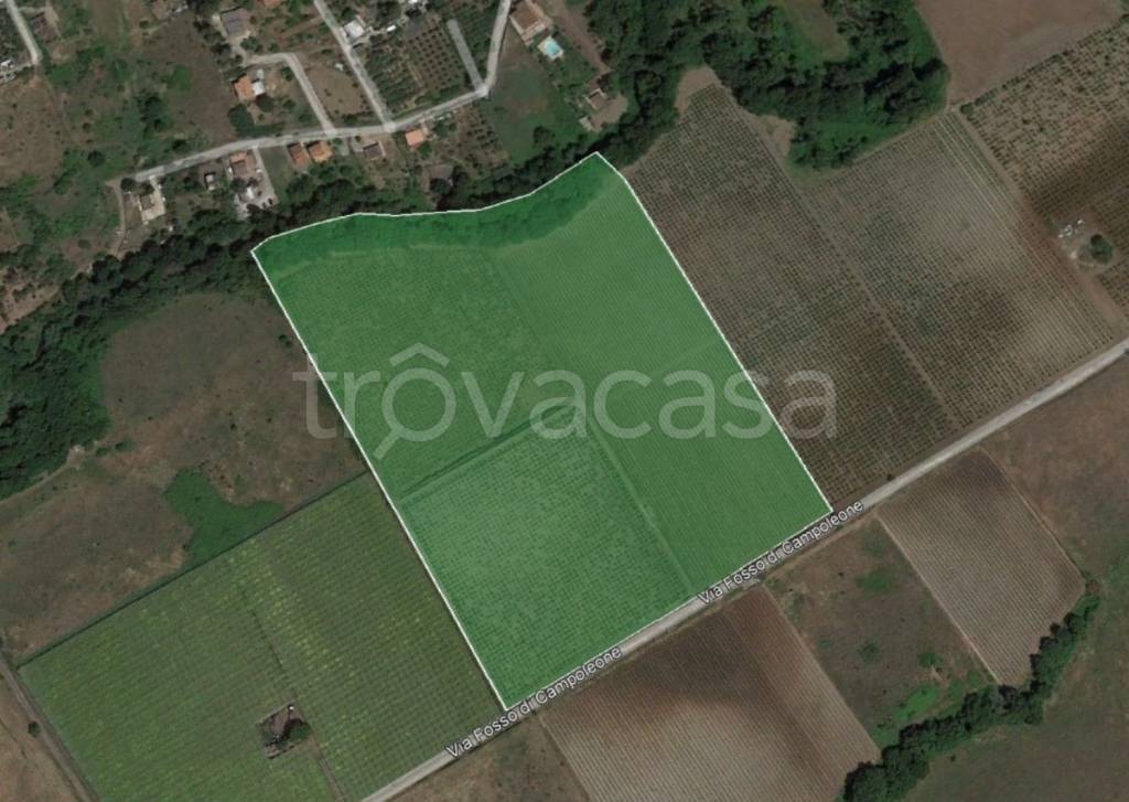 immagine annuncio 1 di 6