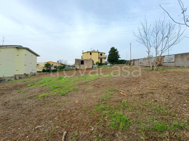 immagine annuncio 3 di 7