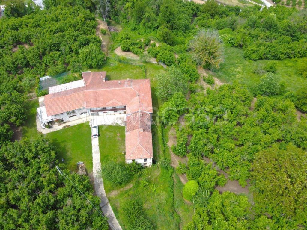 immagine annuncio 4 di 11