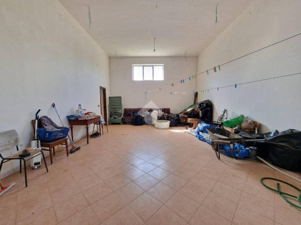 immagine annuncio 3 di 14