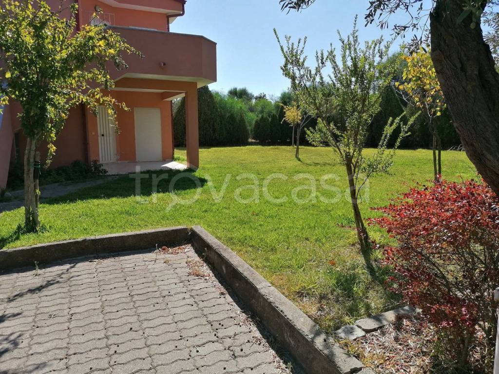 immagine annuncio 4 di 12