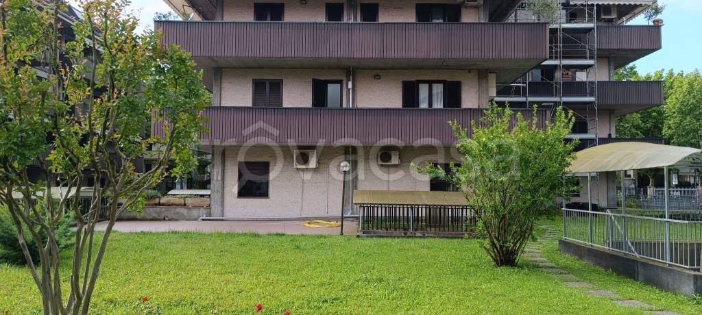 immagine annuncio 12 di 13