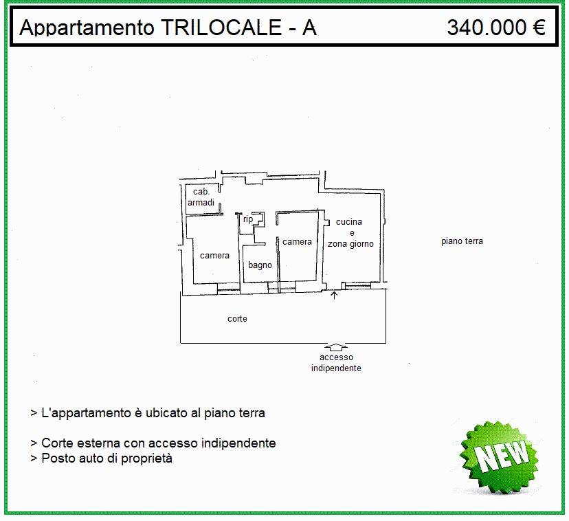 immagine annuncio 1 di 15