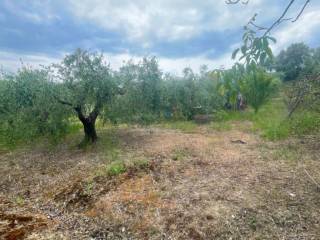 Terreno residenziale in vendita a monterotondo via dei garibaldini