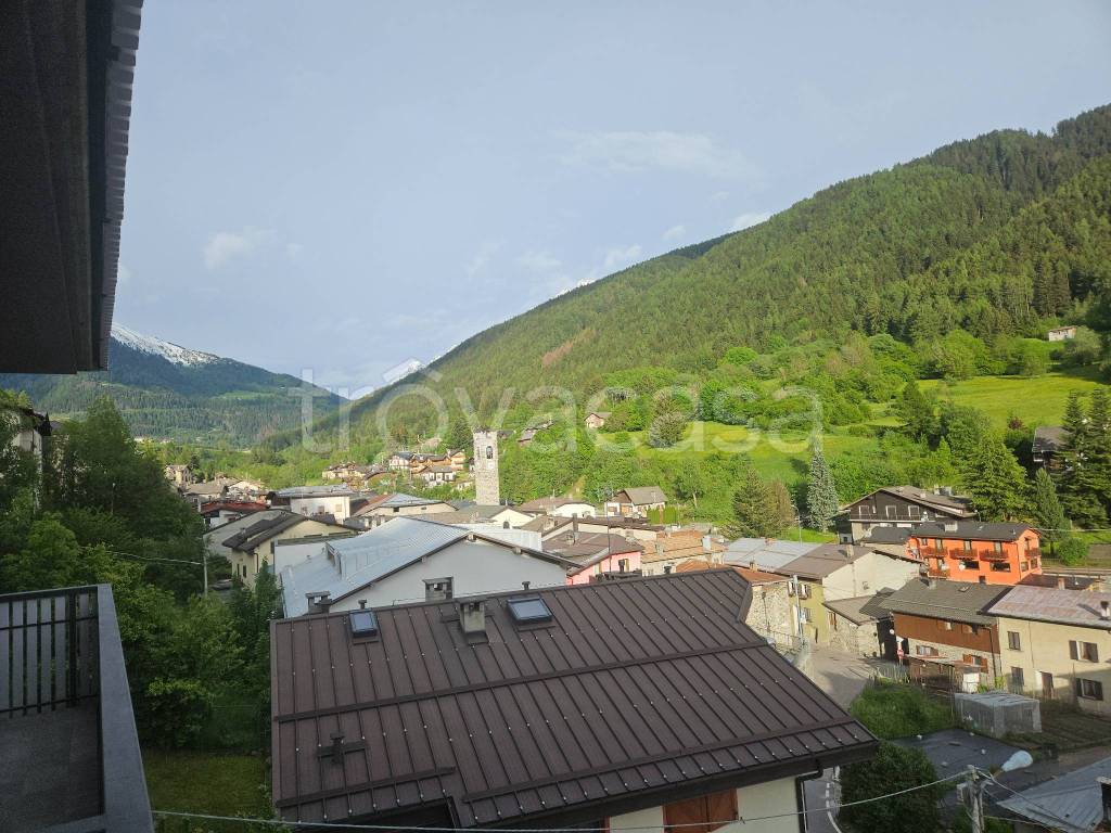 immagine annuncio 12 di 14