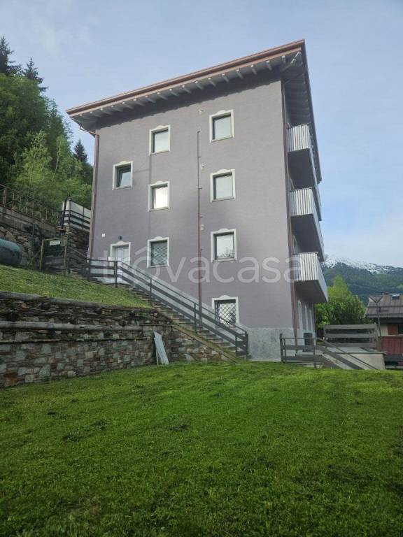 immagine annuncio 1 di 14